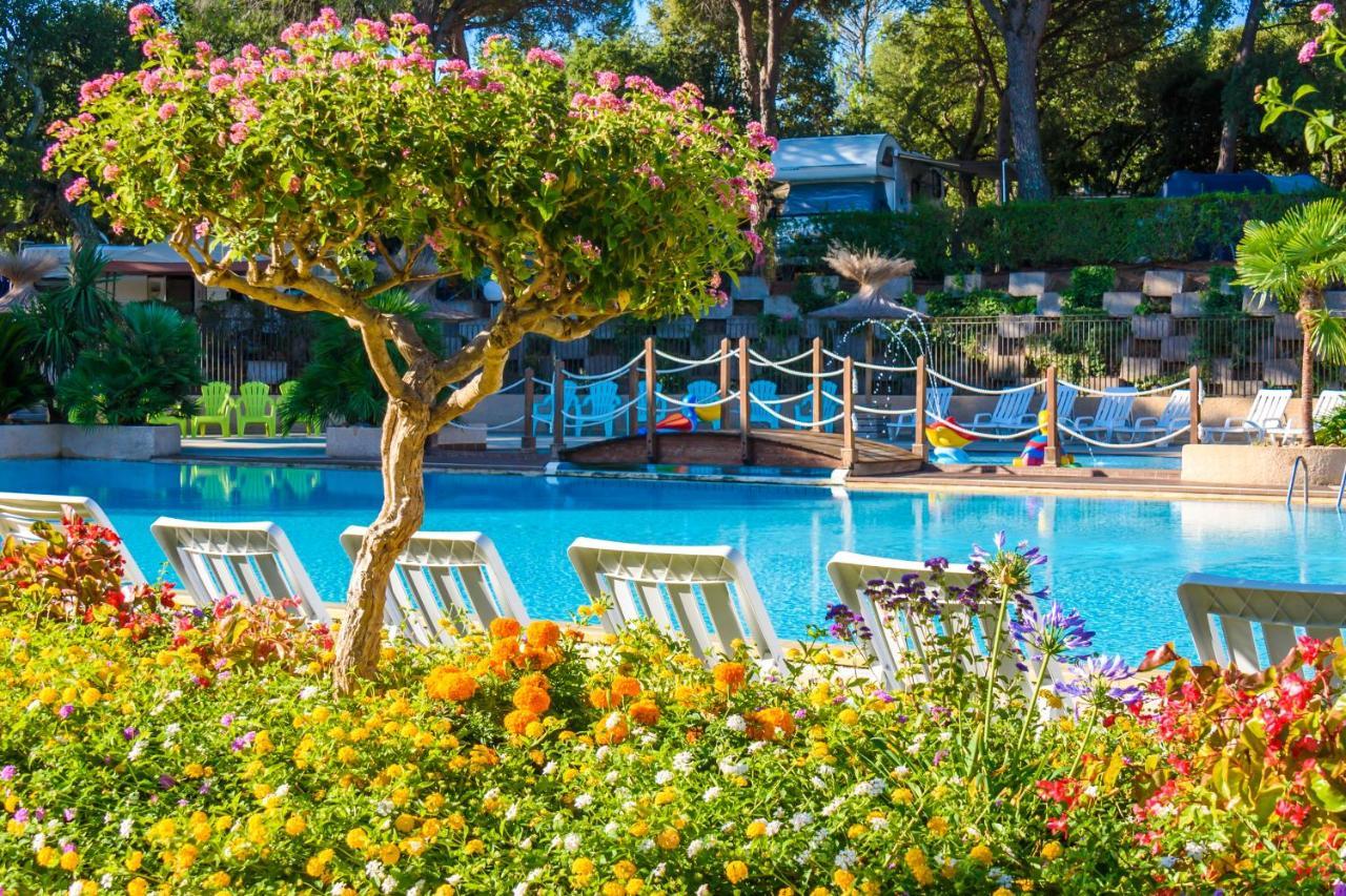 3 Bedroom Chalets Camping Lei Suves - Joycasa Roquebrune-sur Argens Εξωτερικό φωτογραφία